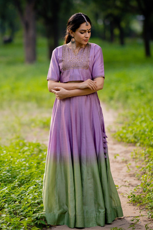 Zeenat Embroidered Lehenga (Set of 2)