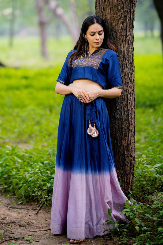 Roshanara Embroidered Lehenga (Set of 2)