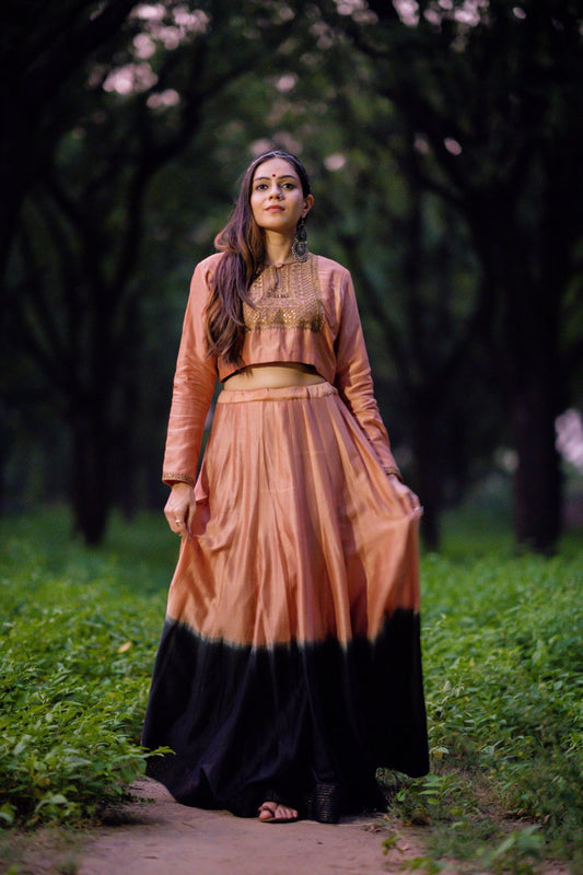 Gulfam Aari Embroidered Lehenga (Set of 2)