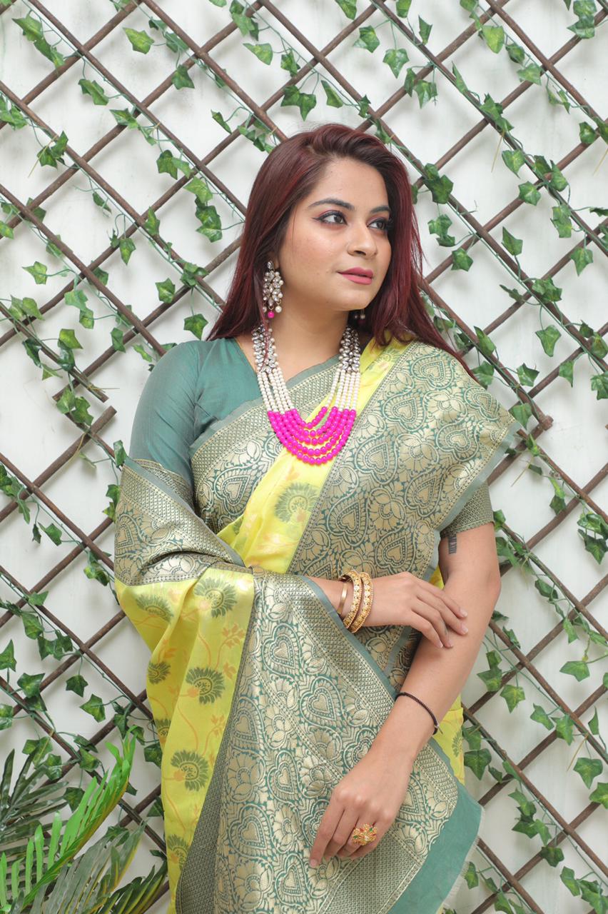 Jacquard Pattern Work On All Over The Saree