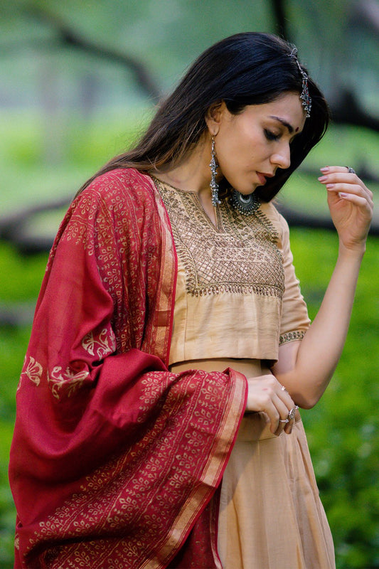 Mehtab Embroidered Lehenga Set with Dupatta (Set of 3)