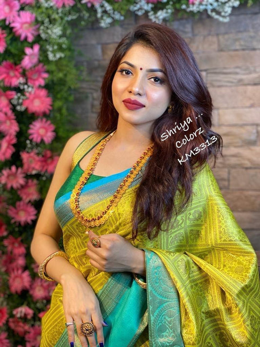 Beautiful Rich Pallu & Jacquard Work On All Over - Designer Saree