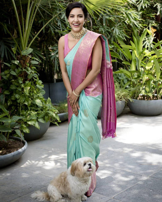 Traditional Wear Classy Sarees