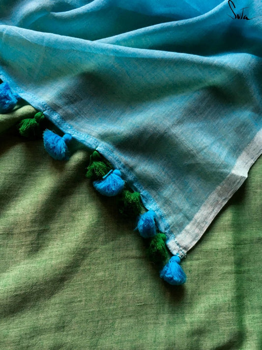 Lotus leaf floating on a pond