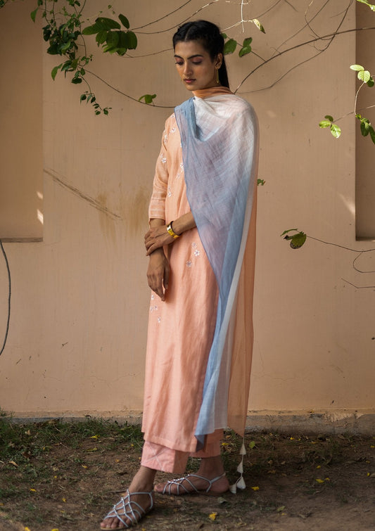 Coral and Azure Embroidered Kurta Set