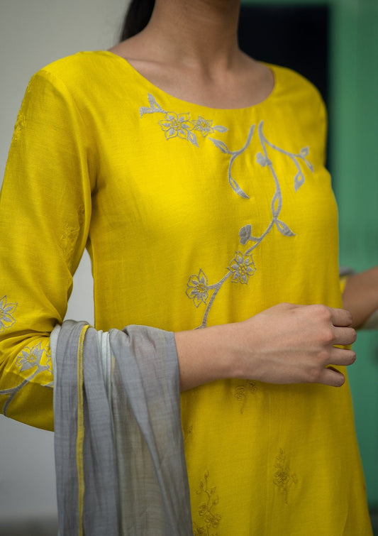 Daffodil and Ash Applique Kurta Set