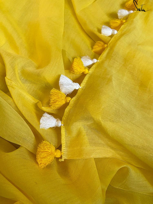 Yellow gerbera daisy