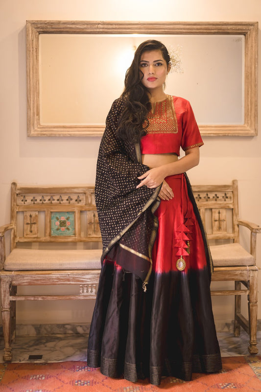 Naaz Aari Embroidered Lehenga Set with Dupatta (Set of 3)