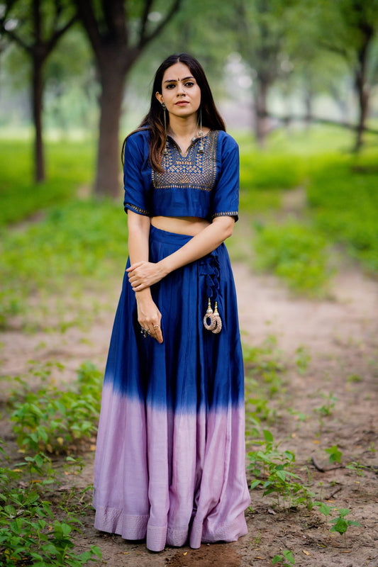 Roshanara Embroidered Lehenga (Set of 2)