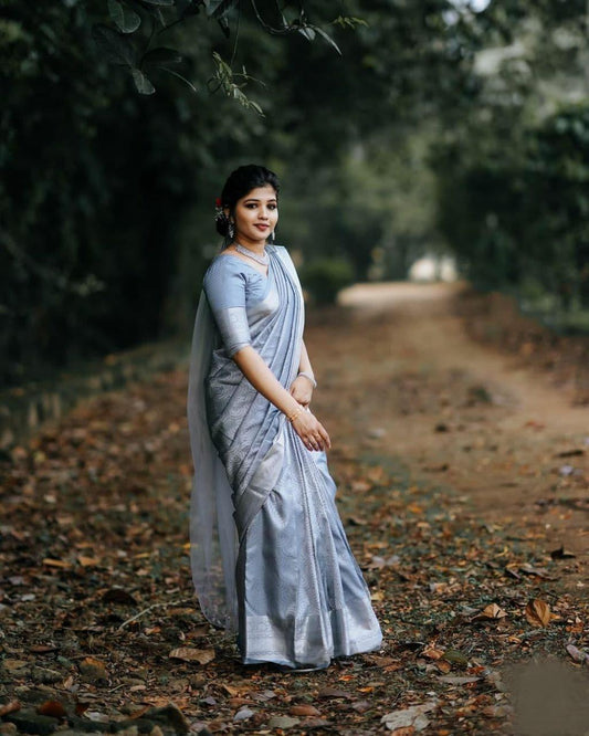 Valiba Gray Beautiful Rich Pallu And Jacquard Saree