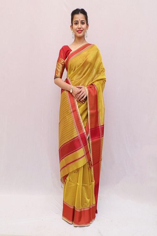 Maheshwari Cotton- Silk Saree -11