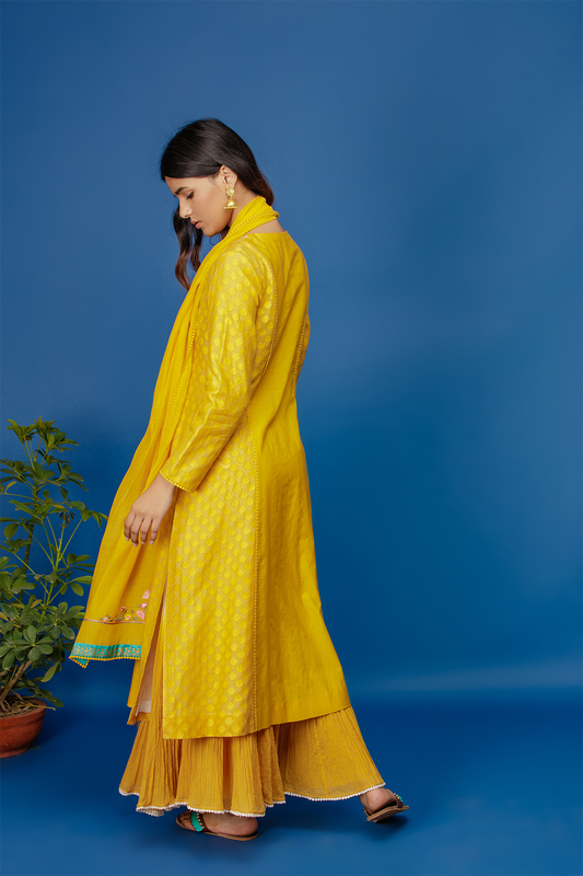 Embroidered Kurta With Dual Colour Crinkle Skirt & Dupatta. Yellow