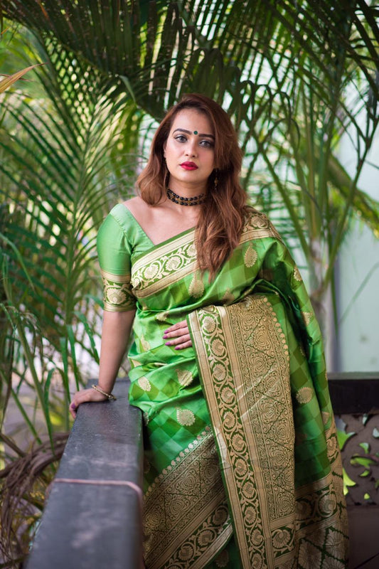 Banarasi Silk Weaving Saree With Fabulous Checks Weaes All Over Contrast Border And Exclusive Pallu