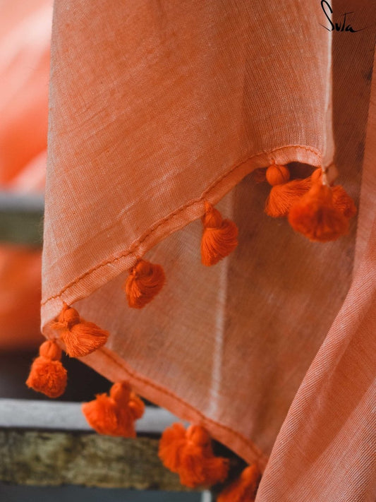 Dried peels of orange