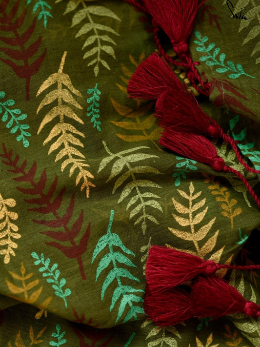 Mysterious Ferns Of Newzealand