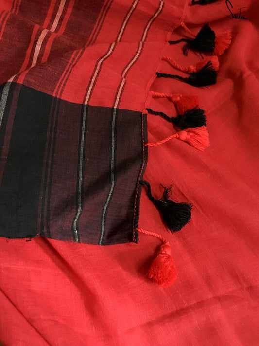 Red lady bird