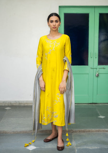Daffodil and Ash Applique Kurta Set