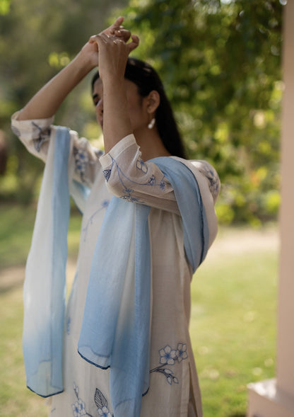 Pearl and Azure Applique Kurta Set