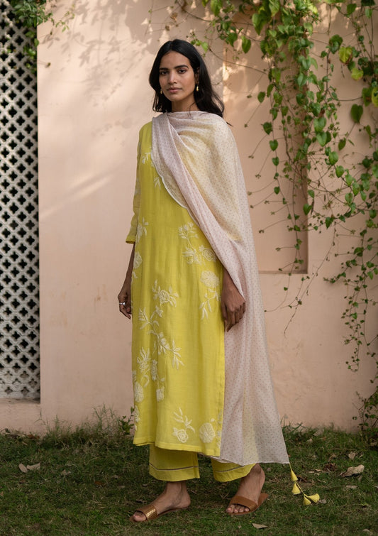 Sunbeam Embroidered Kurta Set