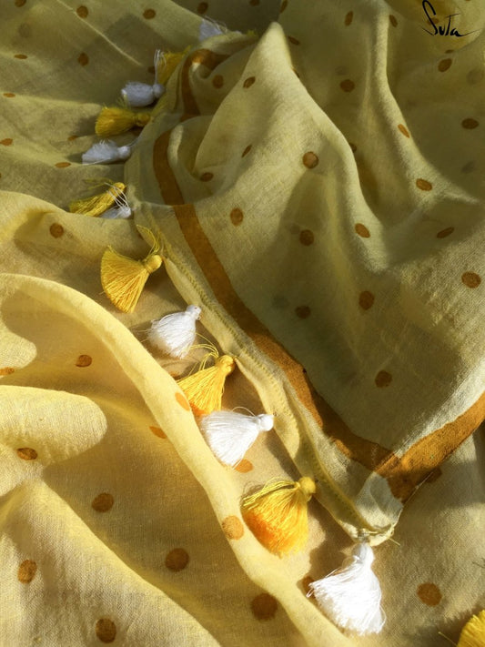 Warbler Pakhi Polka